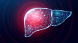 Scientists Improve Liver Organoids for Research Into Hemophilia