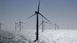 Industry groups call failed North Sea wind farm auction unprecedented