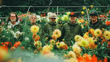 Super Furry Animals Announce 2026 Reunion Tour, First Trek in a Decade