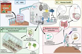 Synthetic Biology Could Support Future Outposts on the Moon and Mars