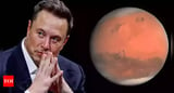 Elon Musk shares his photo with 'Mars caption': But then ...