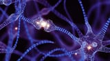 Can adults make new brain cells? New study may finally settle one of neuroscience's greatest debates