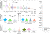 Gut microbiome strain-sharing within isolated village social networks