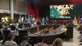 Pacific summit in chaos over 'suspicious' last-minute boycotts