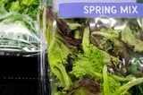 Is lettuce safe to eat yet? New data suggest cyclosporiasis cases are slowing