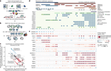 Decoding chromatin states by proteomic profiling of nucleosome readers