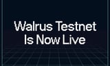 Decentralized Storage Protocol Walrus Launches Public Testnet - CoinJournal