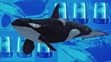 Dormant bitcoin whale holding over $50 million in BTC wakes up for first time in 13 years