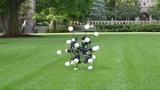 New 20-legged Argus robot redefines robotics with directionless movement design