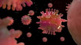 Childhood Cancer Survivors Face Higher COVID-19 Severity Risk