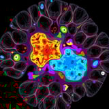 Innovative Software Enhances Scientists’ Ability to Analyze Complex