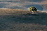 Nature and climate take major hit in proposal to “simplify”