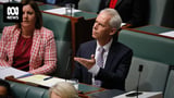 Giles re-cancelling visas 'night and day' but can't explain why he was in the dark