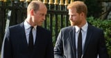 Prince William 'has shrewd plan for Harry and Meghan and their royal futures'