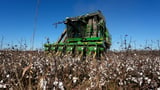 USDA pledges $531M in aid to Georgia farmers after Hurricane Helene | AP News