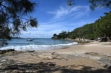 Australian bystanders praised for saving woman after shark attack
