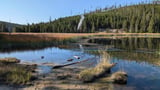 A new thermal steam vent is grabbing attention in ever-changing Yellowstone National Park