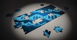 AI-Crafted DNA Regulates Genes in Mammal Cells Debut