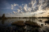 Okefenokee earns World Heritage site status, but mining concerns persist