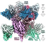 AI can speed antibody design to thwart novel viruses: study