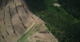 UK imports linked to deforestation size of Leeds since law delay