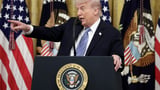 Trump considering federal AI model oversight