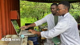 Bitcoin in the bush - crypto mining brings power to rural areas