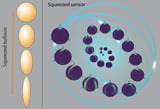 'Squeezing' Increased Accuracy out of Quantum Measurements