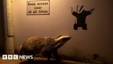 St Leonards photograph wins People's Choice award