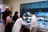 A new understanding of how enzymes influence bacterial protein production
