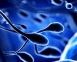 Toxins plus climate harms likely cause of reduced fertility, study finds
