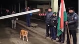 Video: Stray dog first to cross border as Romania, Bulgaria join Schengen Zone