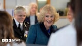 Queen 'horrified' by number of police's domestic abuse calls