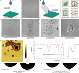Spontaneously charged water drops induce corrosion