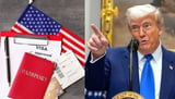 US student visa: Trump administration tightens rules, cracking down on internships for international students