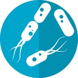 Newly discovered 'sixth sense' links gut microbes to the brain in real time