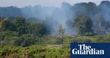 Rare animals threatened as wildfire ravages New Forest heathland