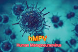 ​Public health alert: hMPV outbreak in China similar to flu and Covid-19​