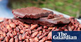 Scientists claim to have unlocked ‘secret sauce’ needed for fine chocolate