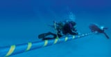 Initial steps taken at European and Italian level (in collaboration with the Asas agency) to promote ...