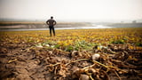 Extreme Heat Sweeps Europe, EU GDP Could Lose €180 Billion