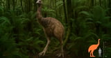 The Extinct Moa—a 12-ft. Flightless Bird—May Follow In the Dire Wolf’s Footsteps