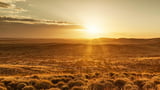 Golden Dragon maps 3km WA gold corridor ripe for drilling
