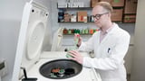 Modified bacteria convert plastic waste into pain reliever