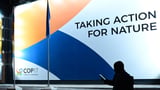 Nations accused of undermining science at UN nature talks