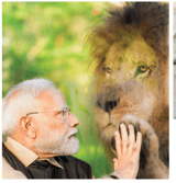 Environment AND Sustainability: India’s Green Transformation