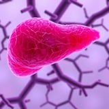 New Lab-Grown Liver Model Provides Breakthrough Platform to Explore