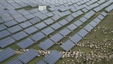 China's state subsidies up to eight times more than OECD's, report says