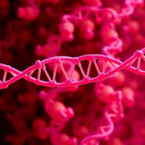 ATRX partners with 9-1-1 and CST to protect genome replication and