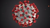 Researchers create 'virtual scientists' to solve complex biological problems